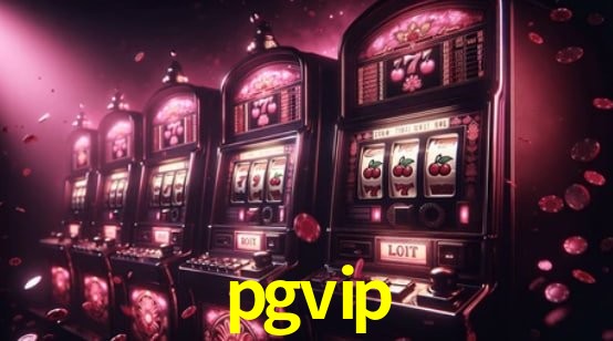Interface Premium pgvip
