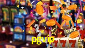 Premium Interface pgvip
