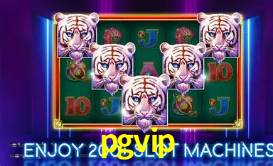 pgvip: A Experiência de Casino com Jogos de Mesa ao Vivo